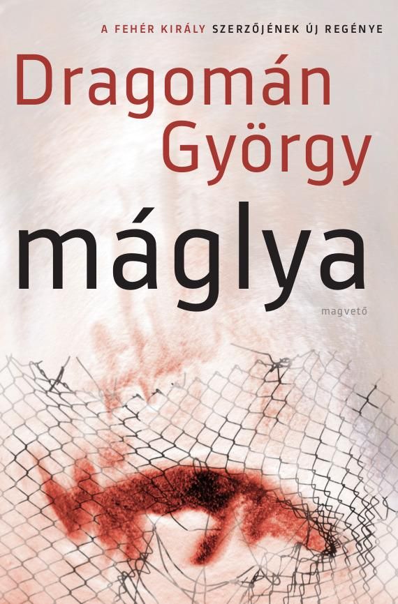 Máglya -