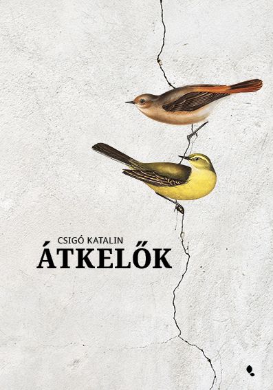 Átkelők - fűzött Átkelők - fűzött