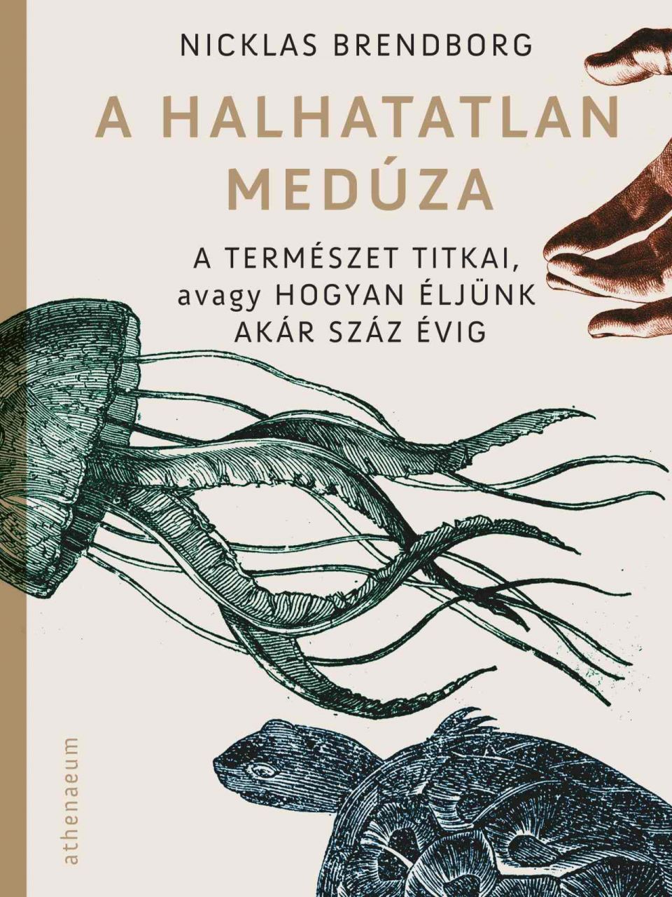 A halhatatlan medúza - a természet titkai, avagy hogyan éljünk akár száz évig