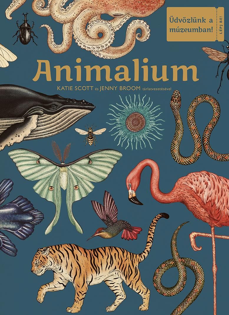 Animalium - üdvözlünk a múzeumban!