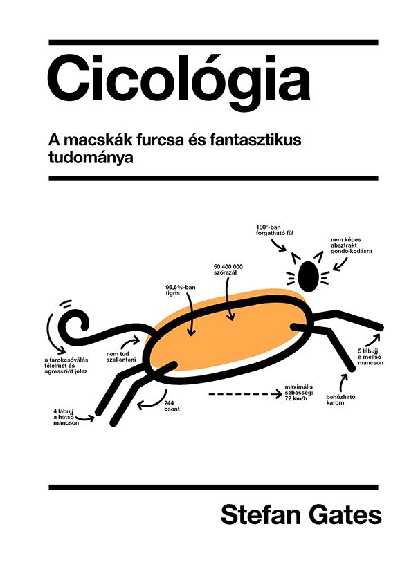 Cicológia - a macskák furcsa és fantasztikus tudománya