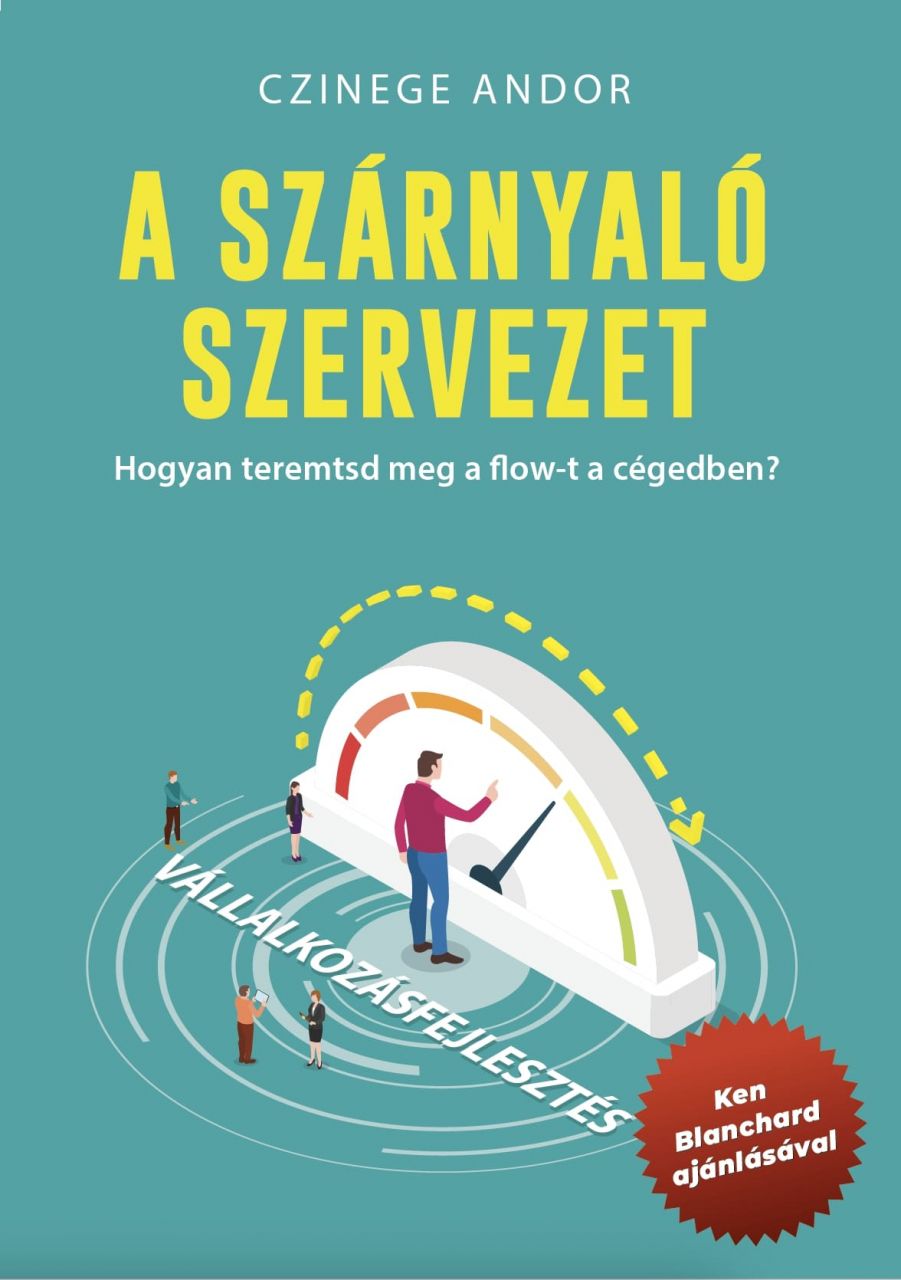 A szárnyaló szervezet - hogyan teremtsd meg a flow-t a cégedben?