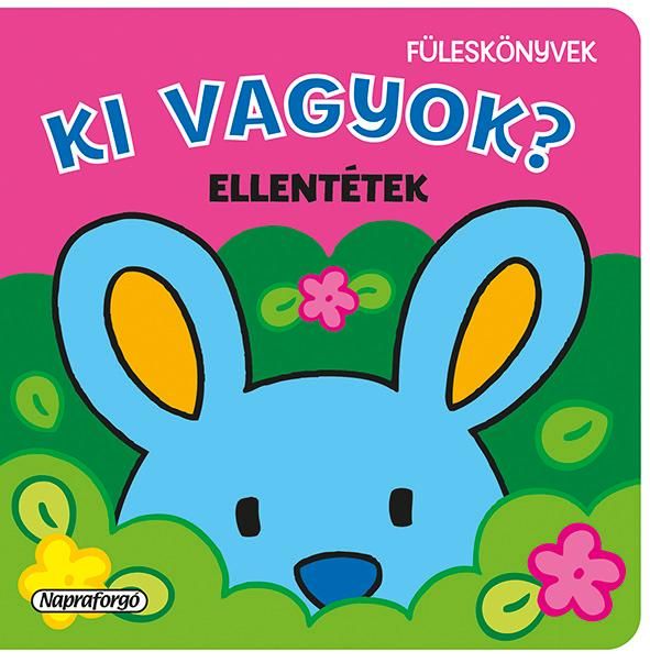 Ki vagyok? - ellentétek