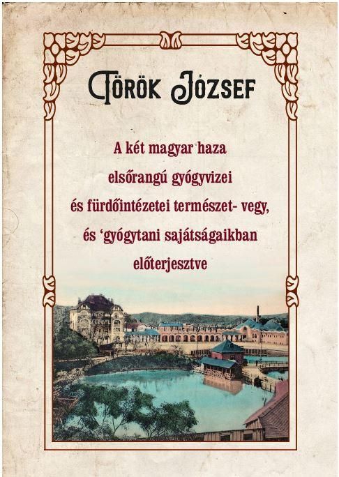 A két magyar haza elsőrangú gyógyvizei és fürdőintézetei természet- vegy, és gyó A két magyar haza elsőrangú gyógyvizei és fürdőintézetei természet- vegy, és gyó