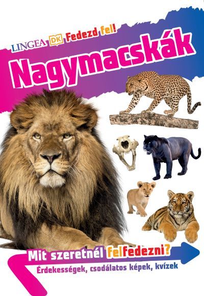 Nagymacskák - fedezd fel!