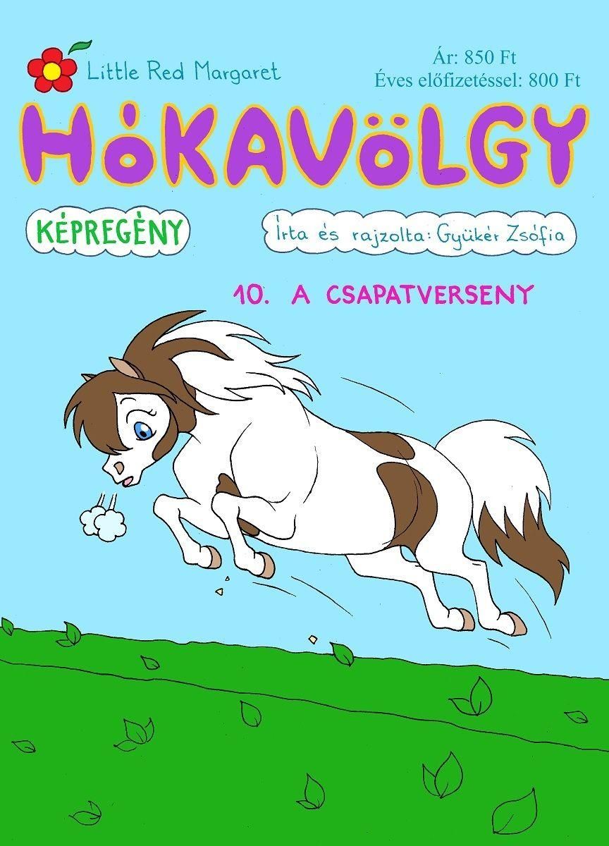 Hókavölgy 10. - a csapatverseny