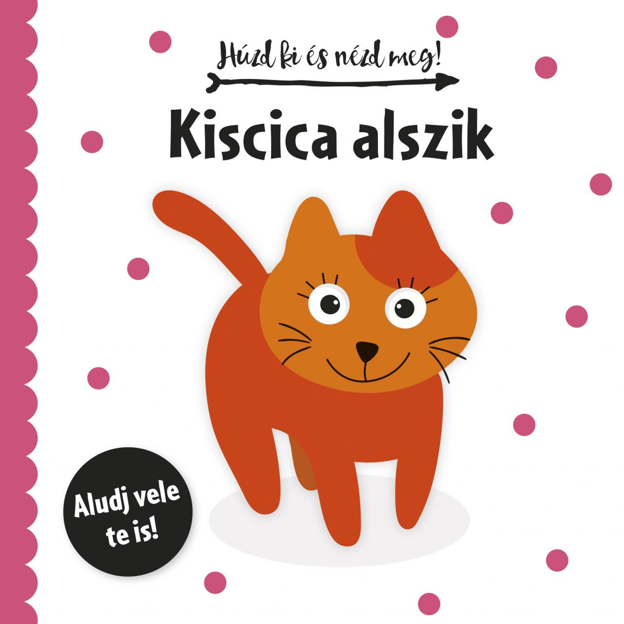 Kiscica alszik - húzd ki és nézd meg! Kiscica alszik - húzd ki és nézd meg!