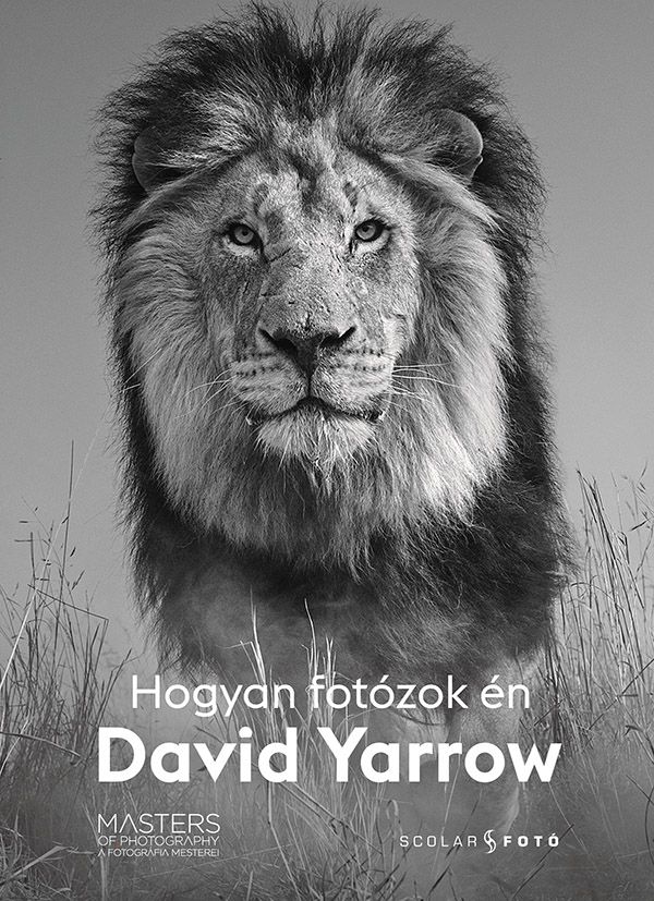 Hogyan fotózok én - david yarrow