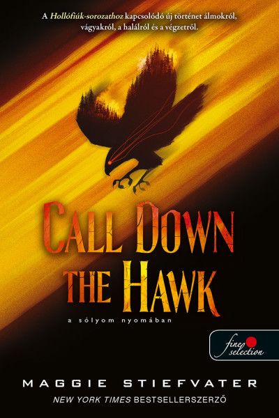 Call down the hawk - a sólyom nyomában (álmodok-trilógia 1.)