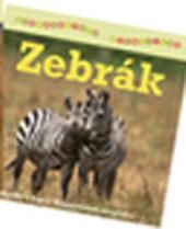 Zebrák - szórakoztató állatvilág