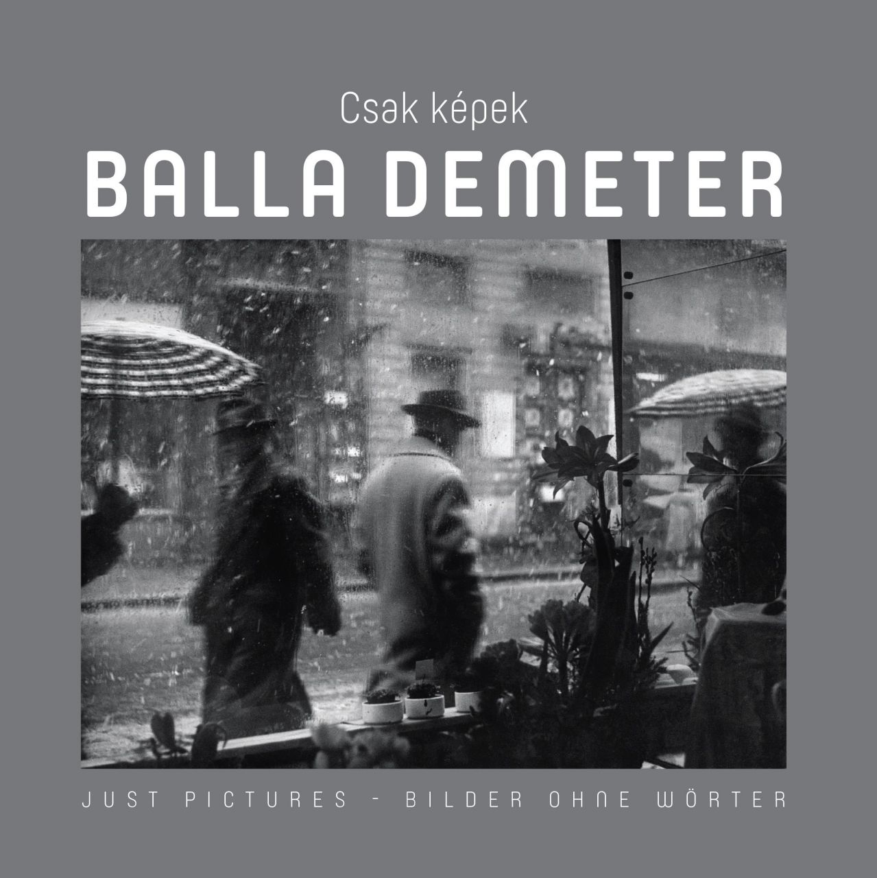 Csak képek - balla demeter