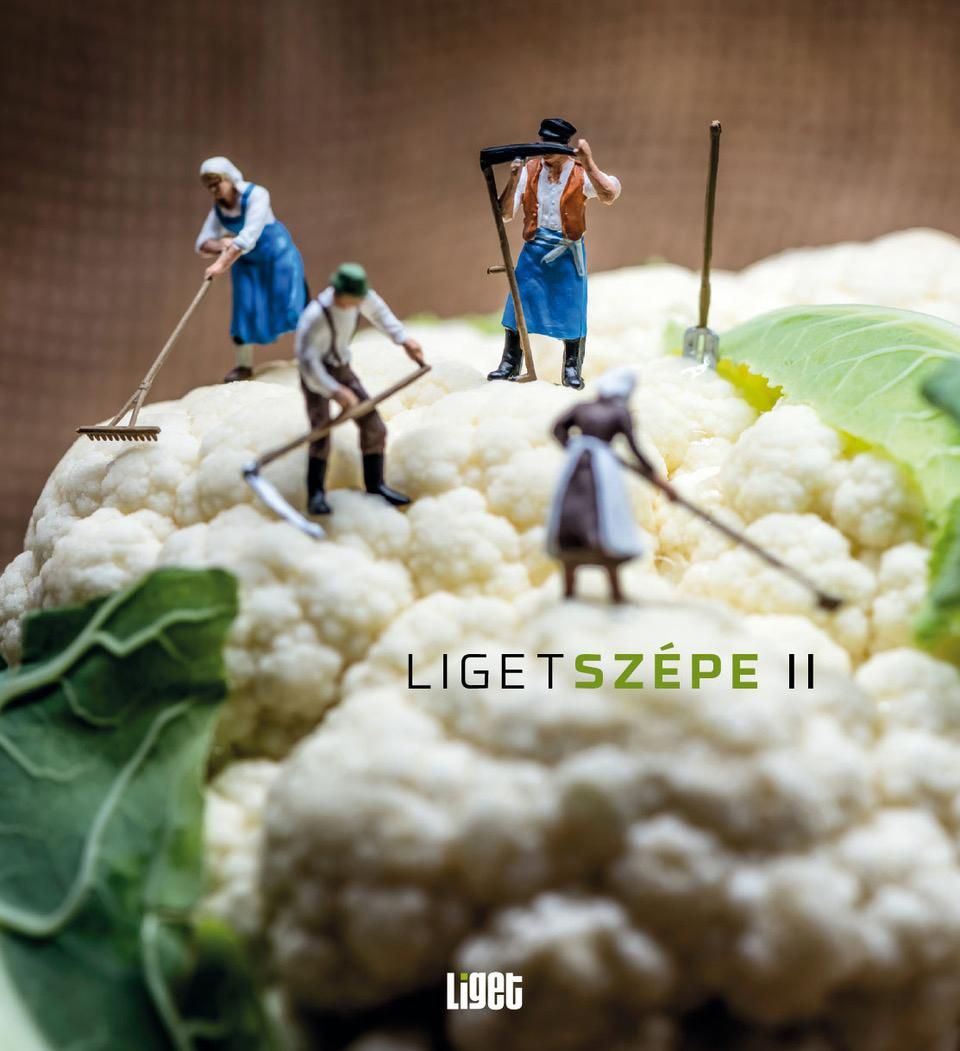 Ligetszépe ii.