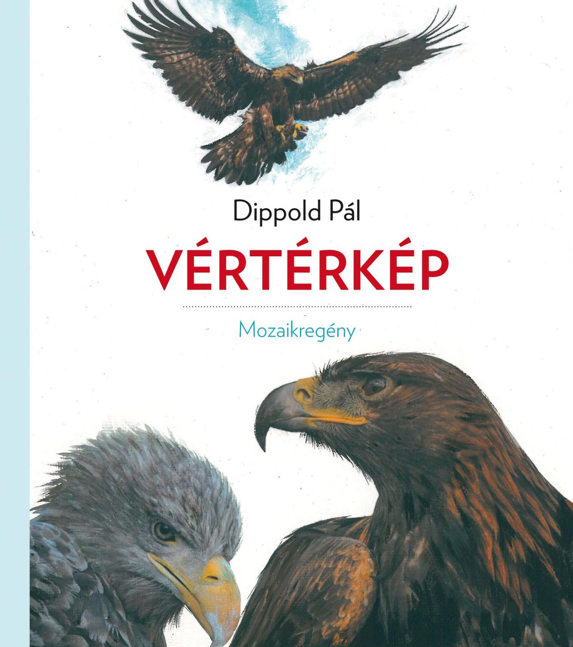 Vértérkép - mozaikregény