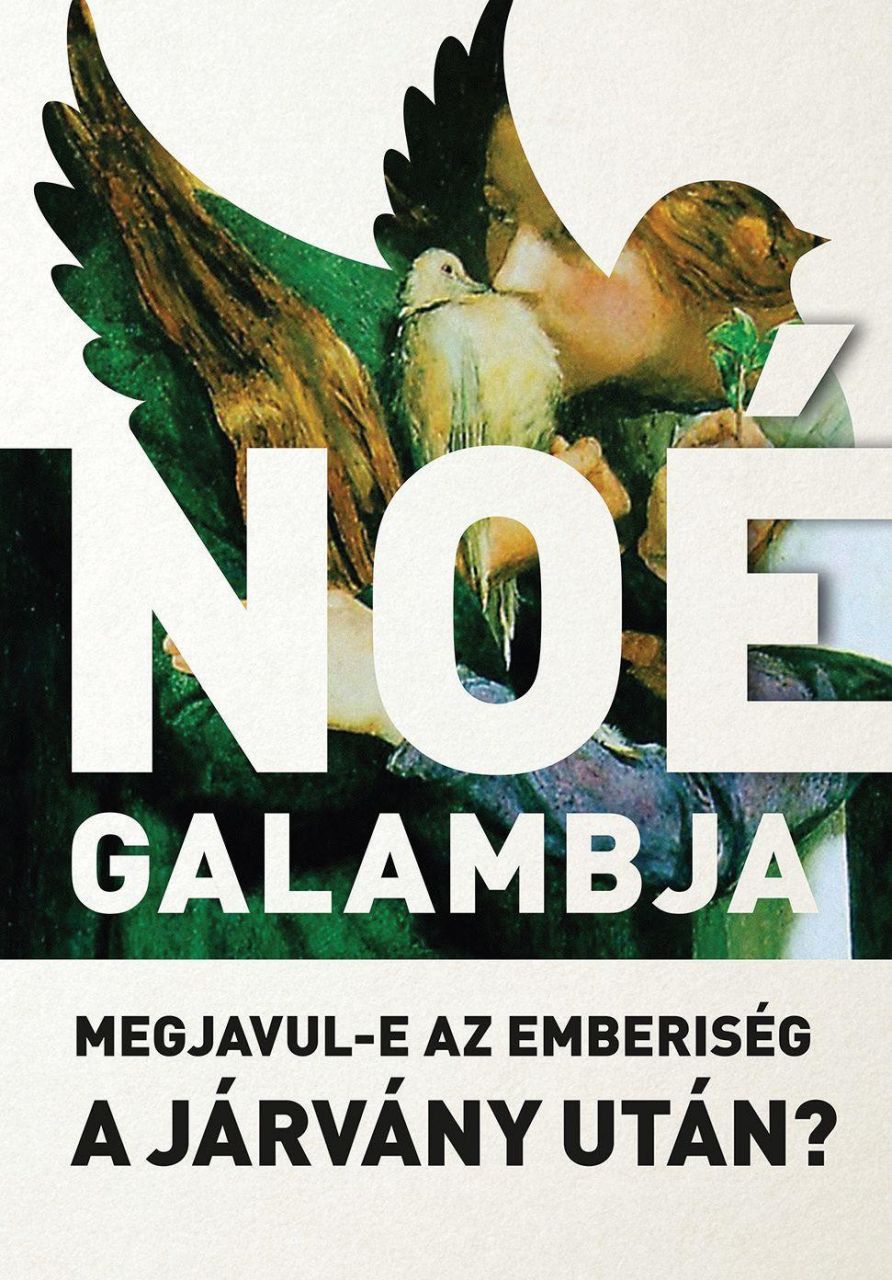 Noé galambja