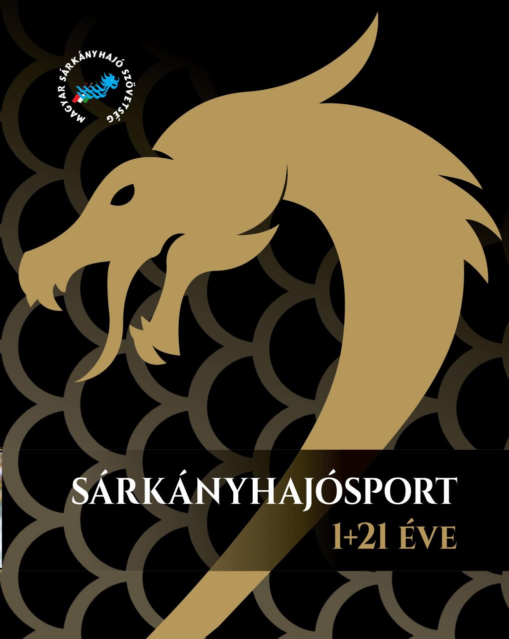 Sárkányhajósport 1+21 év - album