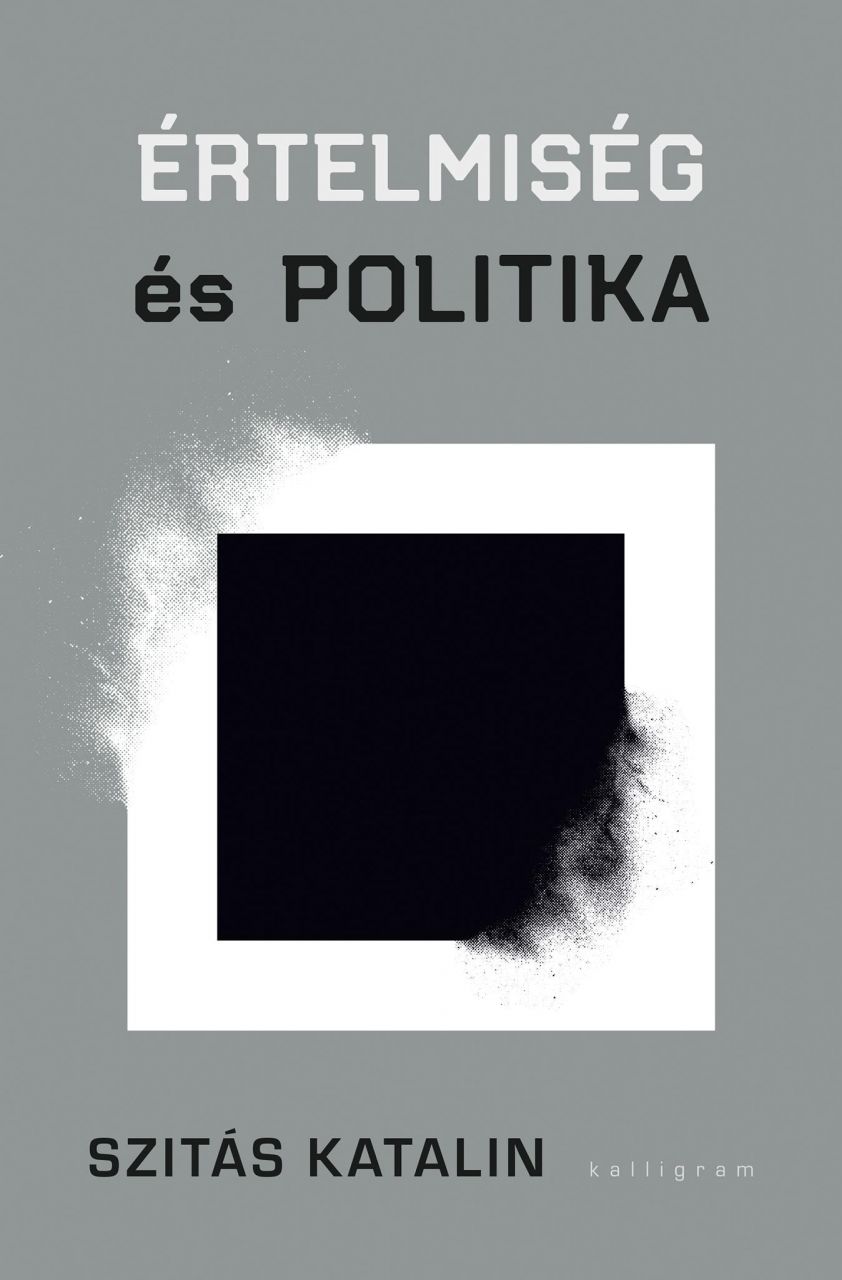 Értelmiség és politika