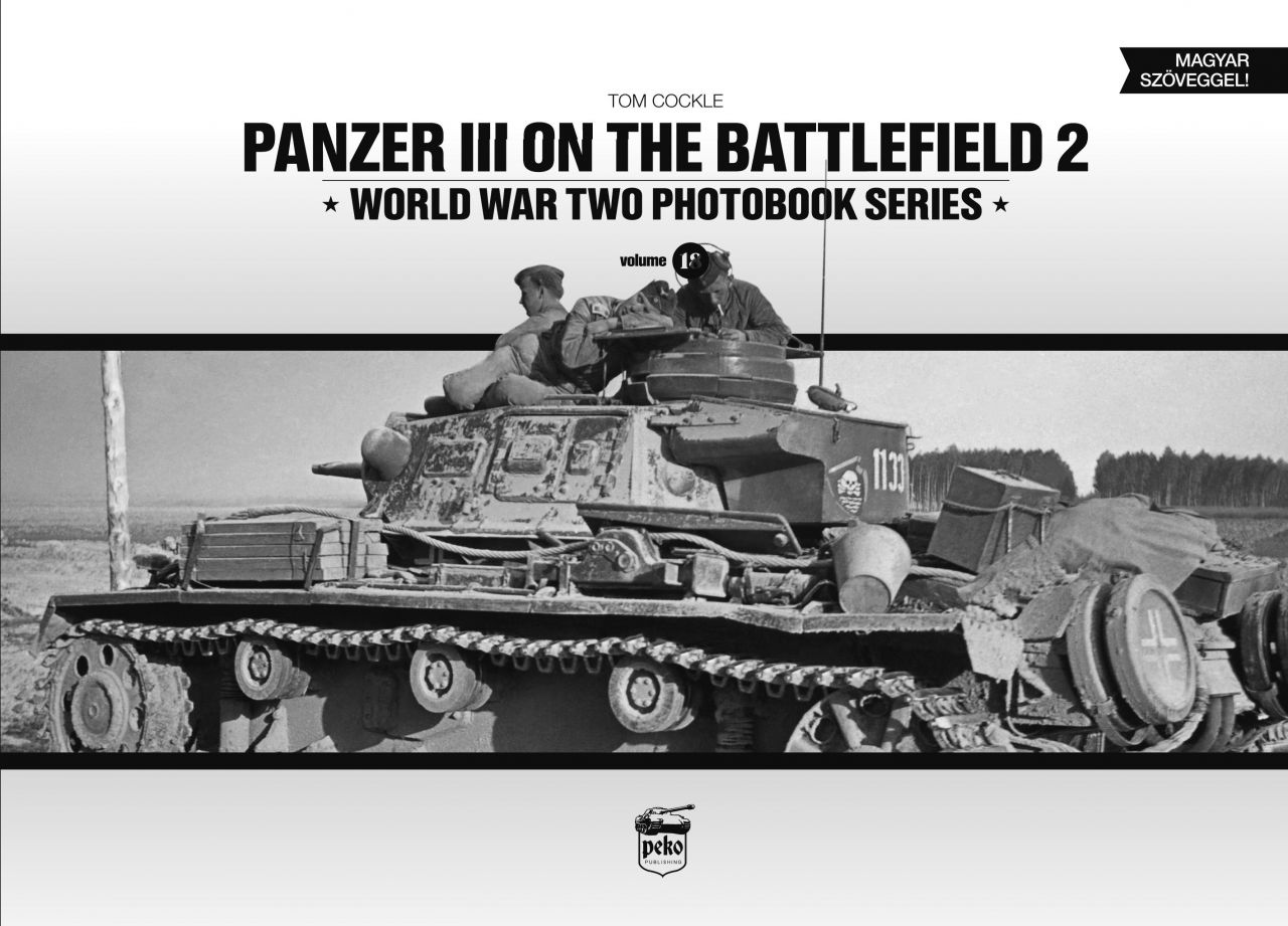 Panzer iii on the battlefield 2.