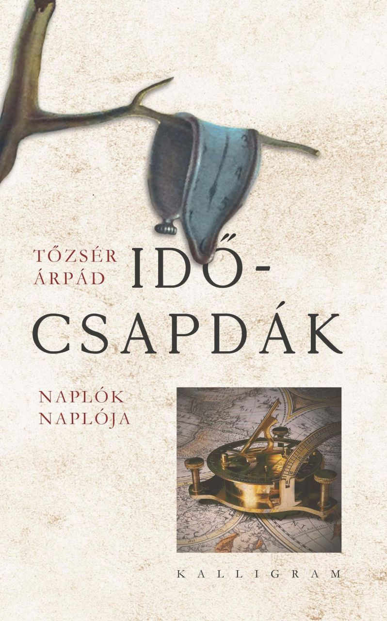 Időcsapdák - naplók naplója