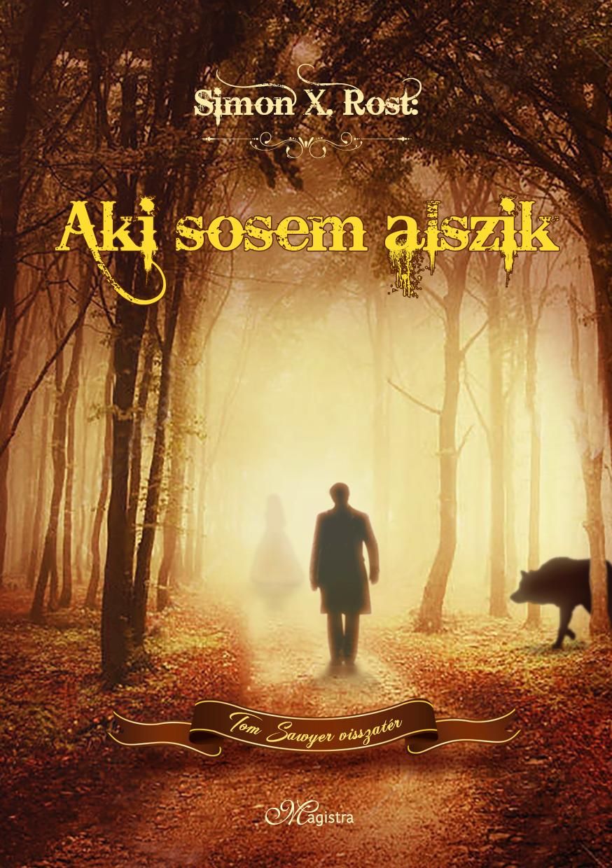 Aki sosem alszik - tom sawyer visszatér