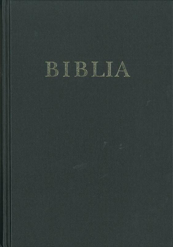 Biblia (revideált új fordítás, nagy családi)