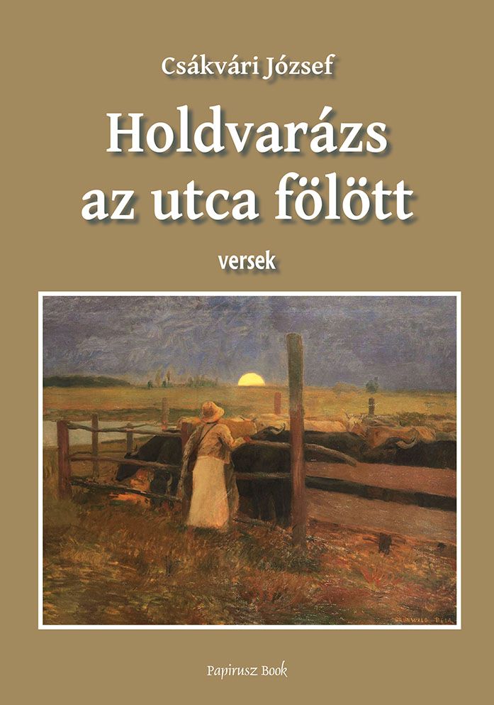 Holdvarázs at utca felett