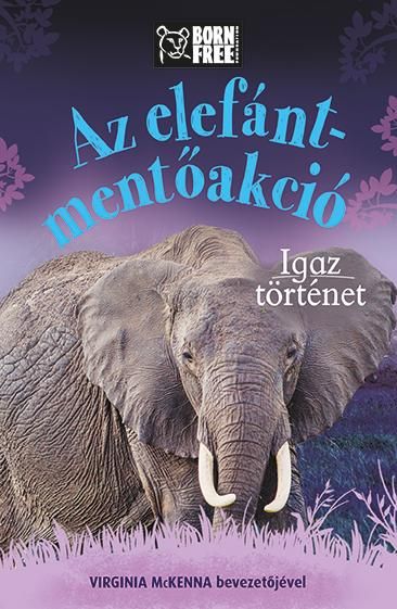 Az elefánt-mentőakció - igaz történet