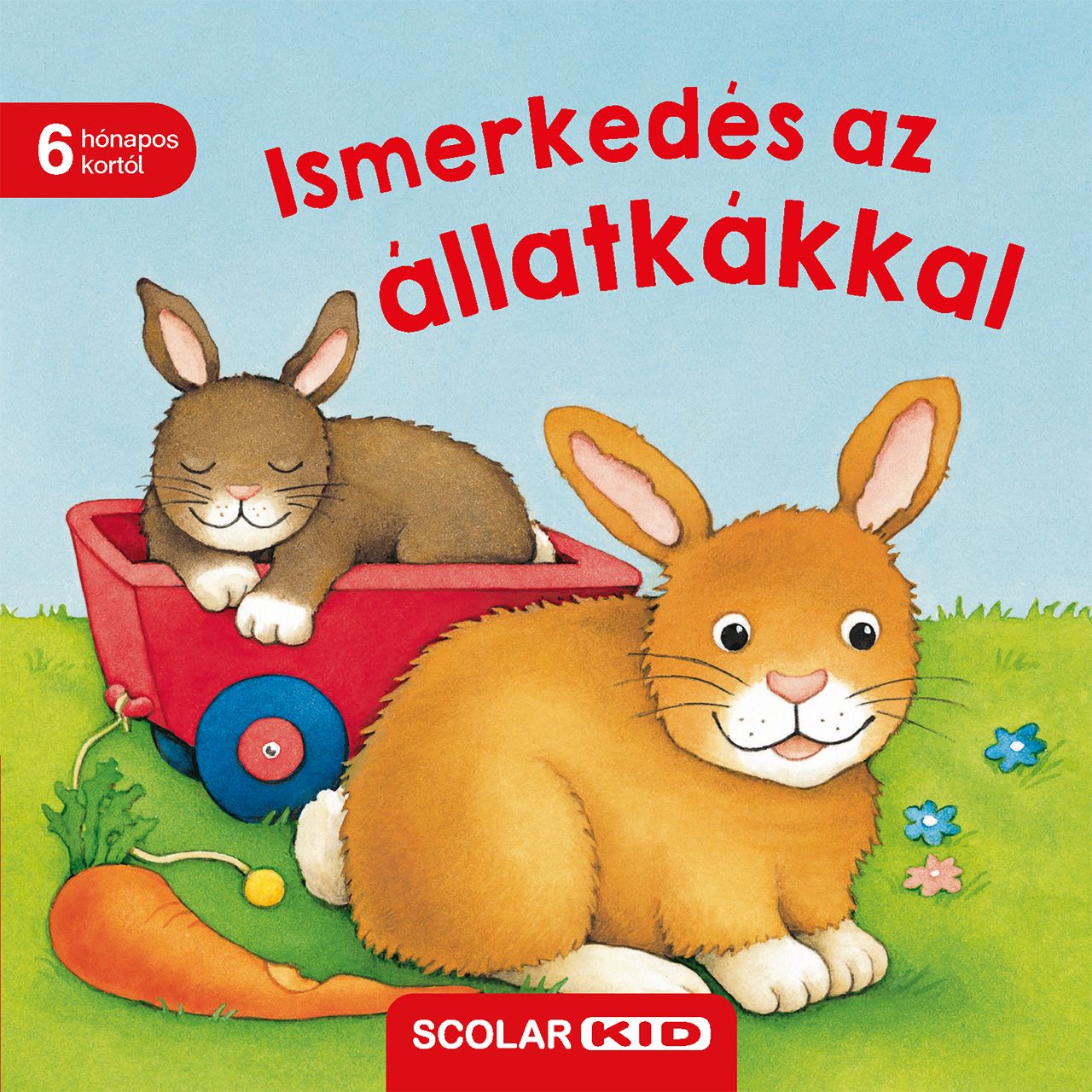 Ismerkedés az állatkákkal Ismerkedés az állatkákkal