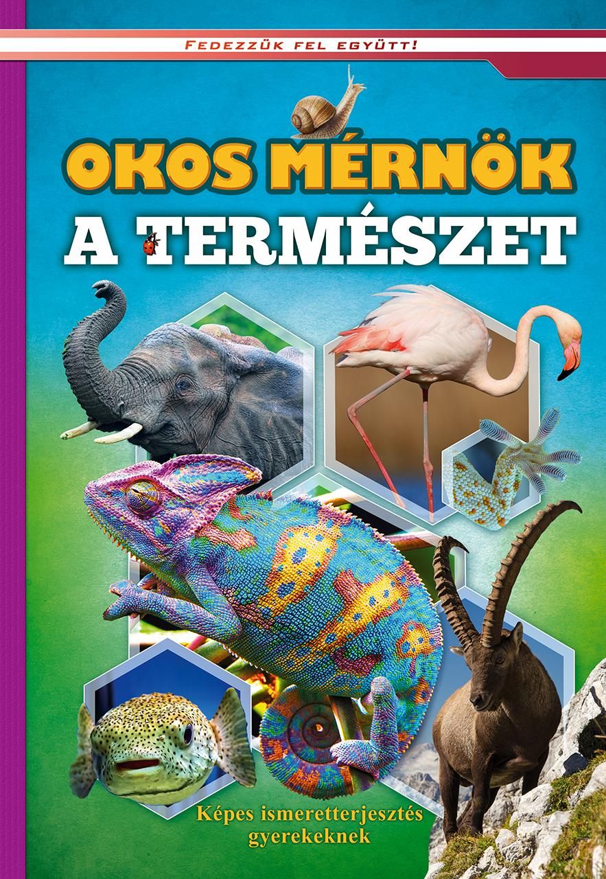 Okos mérnök a természet - képes ismeretterjesztés gyerekeknek Okos mérnök a természet - képes ismeretterjesztés gyerekeknek