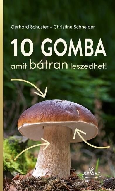 10 gomba amit bátran leszedhet! 10 gomba amit bátran leszedhet!