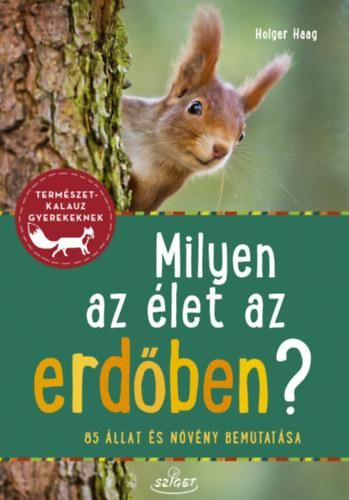 Milyen az élet az erdőben? Milyen az élet az erdőben?