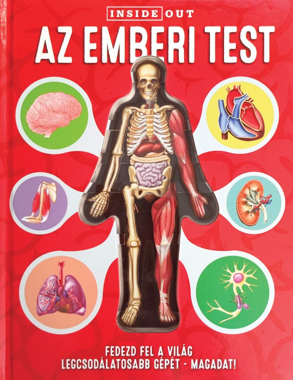Az emberi test - fedezd fel a világ legcsodálatosabb gépét- magadat! Az emberi test - fedezd fel a világ legcsodálatosabb gépét- magadat!