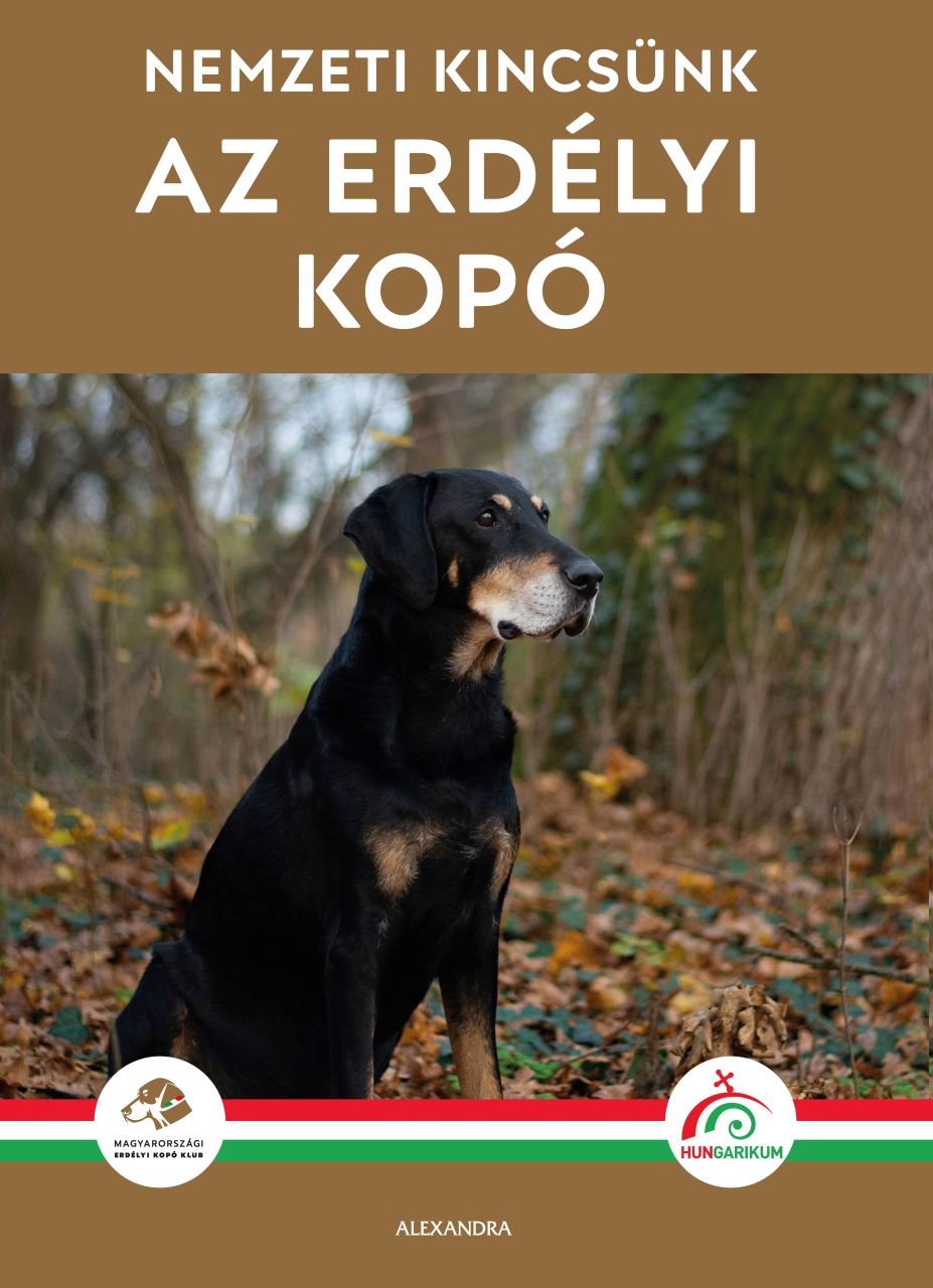 Nemzeti kincsünk az erdélyi kopó Nemzeti kincsünk az erdélyi kopó