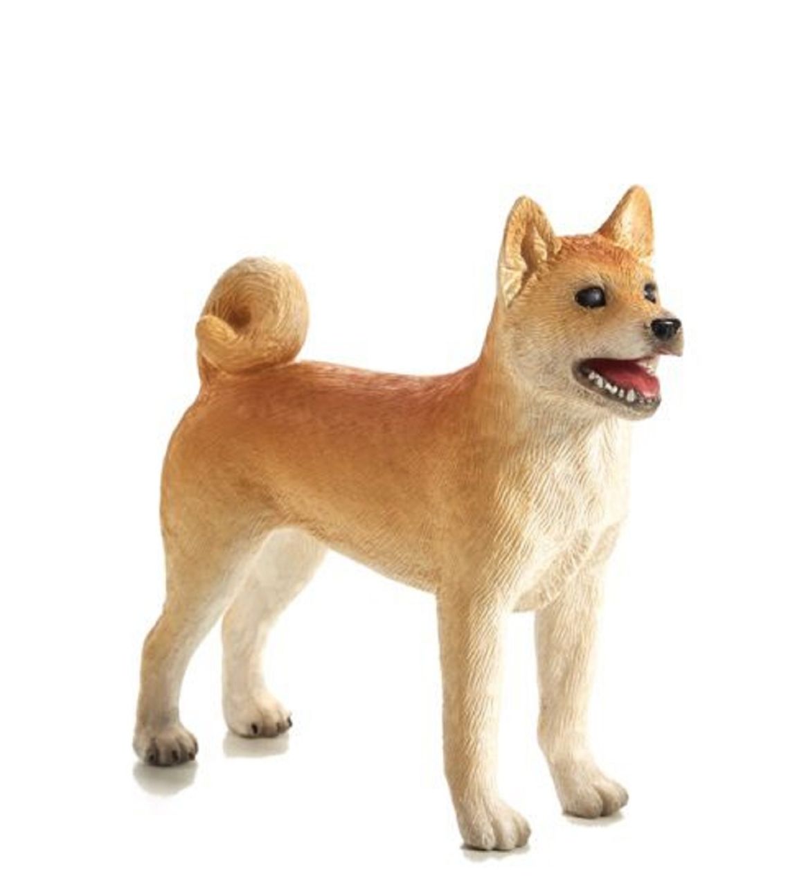 Kutya shiba inu m Kutya shiba inu m
