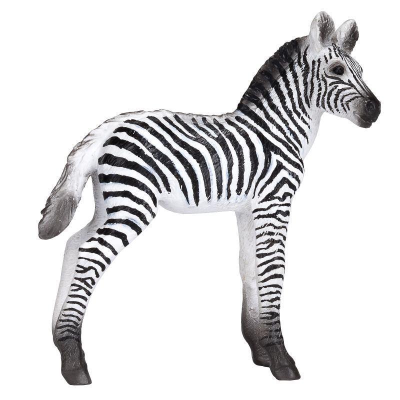Mojo zebra nőstény m Mojo zebra nőstény m