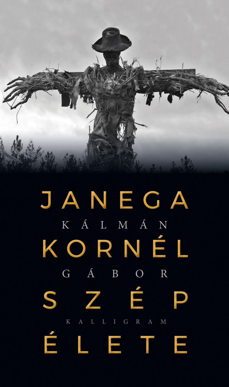 Janega kornél szép élete Janega kornél szép élete
