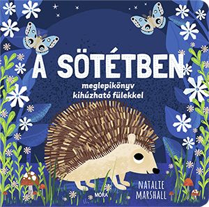 A sötétben - meglepikönyv kihúzható fülekkel A sötétben - meglepikönyv kihúzható fülekkel
