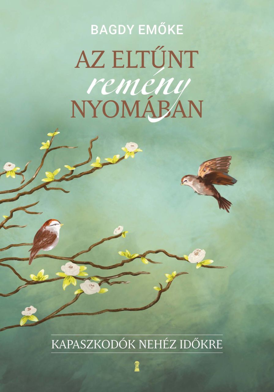 Az eltűnt remény nyomában Az eltűnt remény nyomában