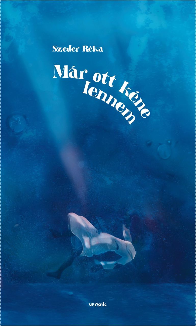 Már ott kéne lennem Már ott kéne lennem