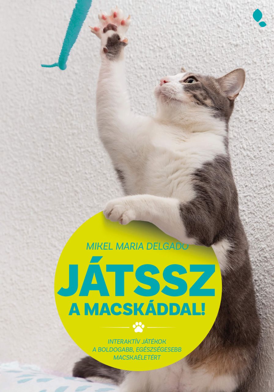Játssz a macskáddal! Játssz a macskáddal!