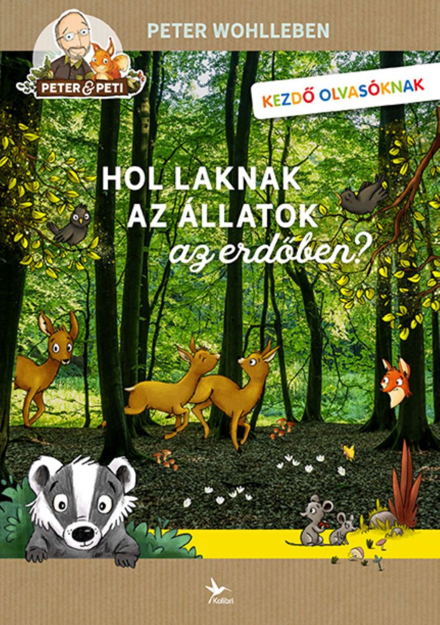 Hol laknak az állatok az erdőben? Hol laknak az állatok az erdőben?