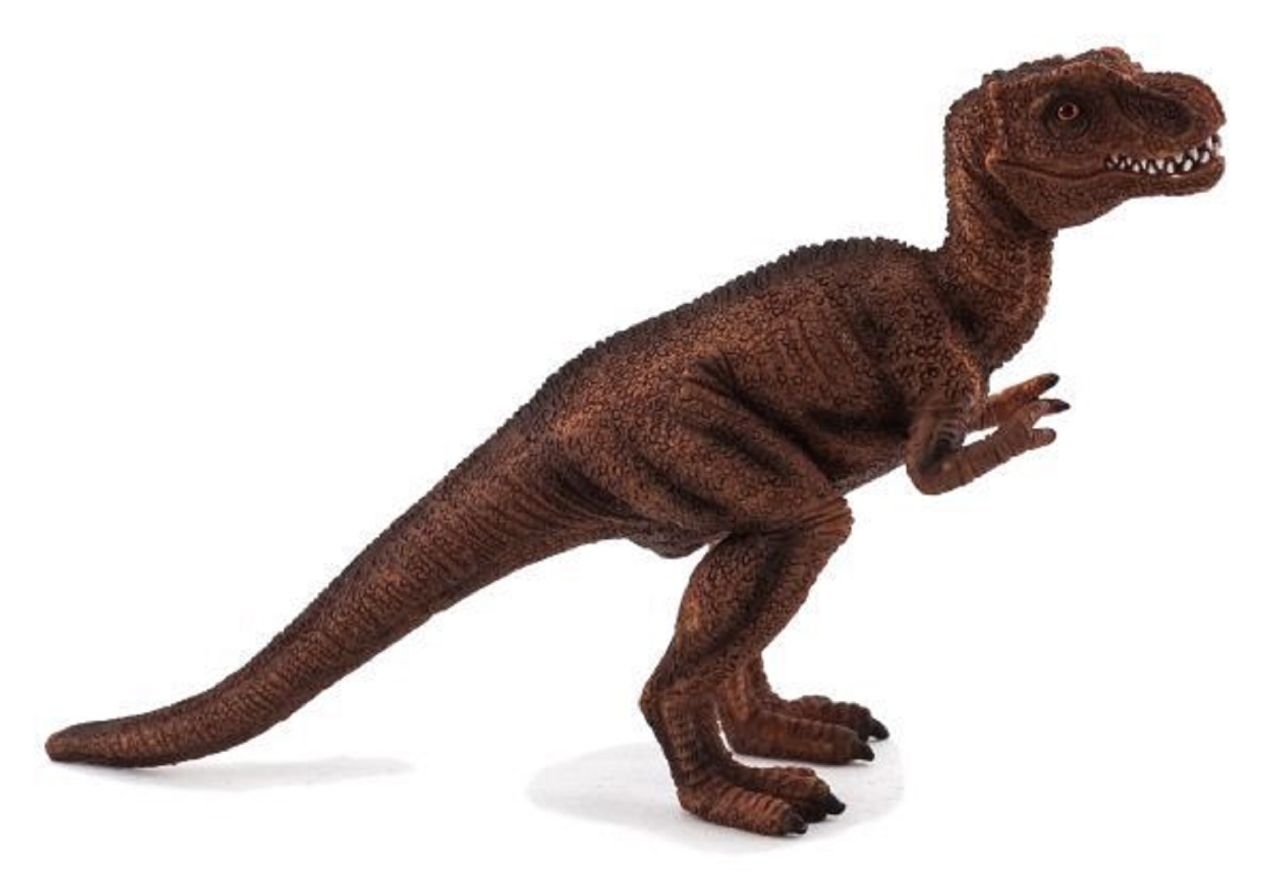 T-rex bébi m T-rex bébi m