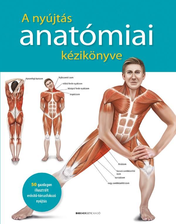 A nyújtás anatómiai kézikönyve A nyújtás anatómiai kézikönyve