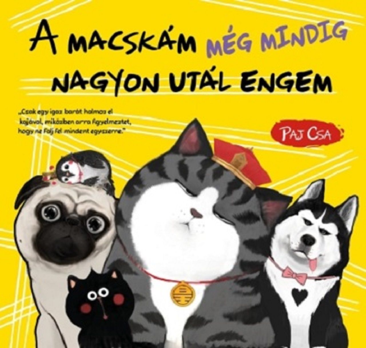 A macskám még mindig nagyon utál engem A macskám még mindig nagyon utál engem