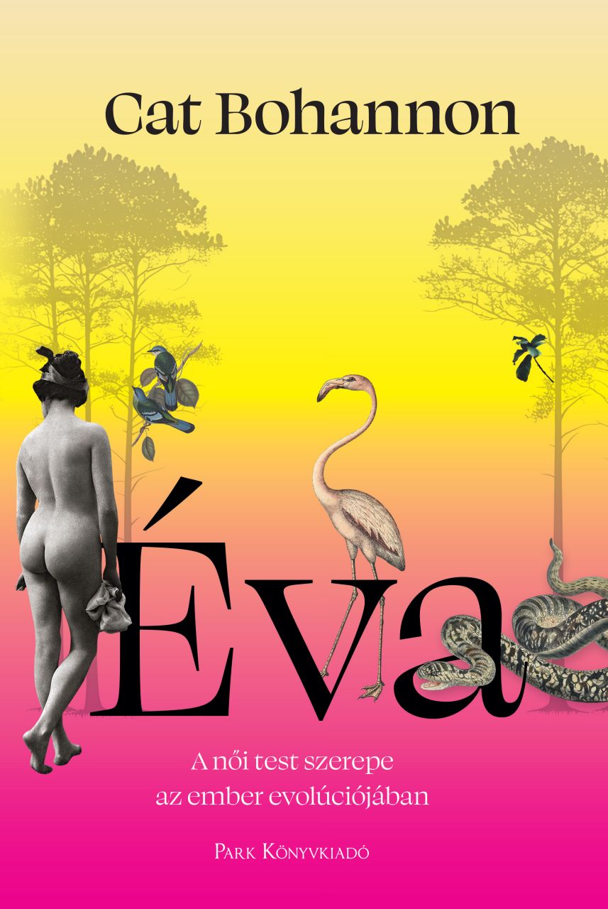 Éva - a női test szerepe az ember evolúciójában Éva - a női test szerepe az ember evolúciójában
