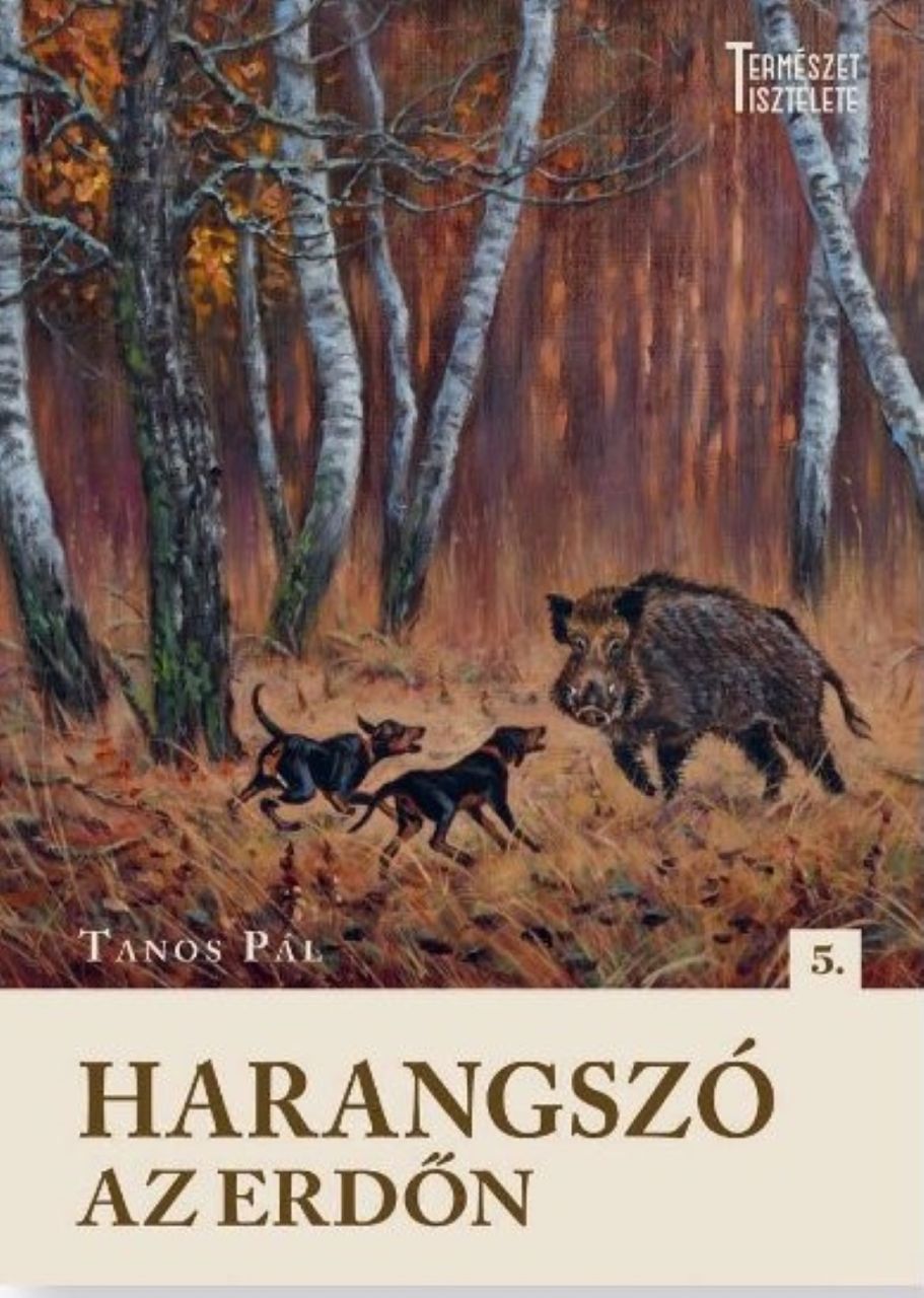 Harangszó az erdőn Harangszó az erdőn