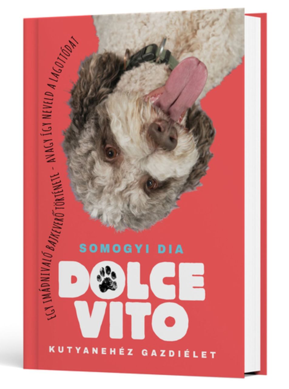 Dolce vito - kutyanehéz gazdiélet Dolce vito - kutyanehéz gazdiélet