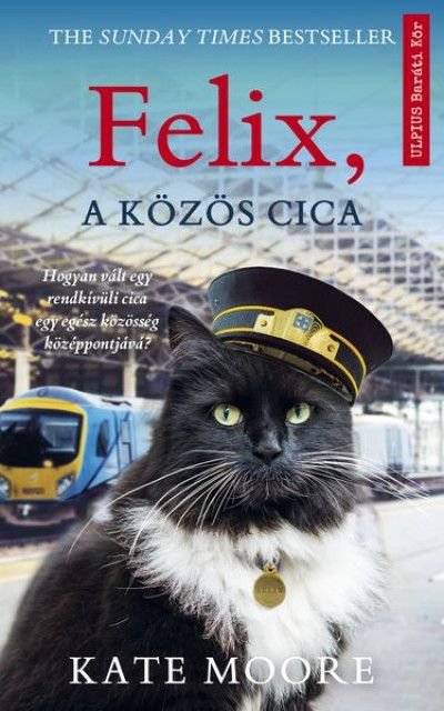 Felix, a közös cica Felix, a közös cica