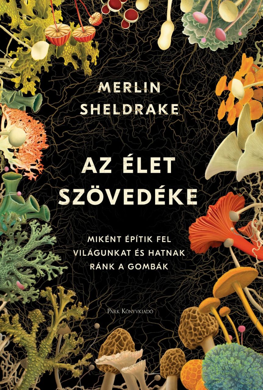 Az élet szövedéke Az élet szövedéke