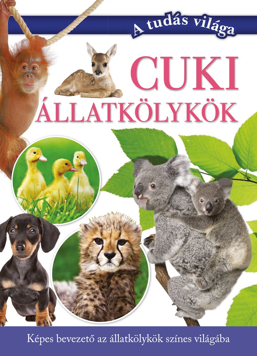 Cuki állatkölykök Cuki állatkölykök