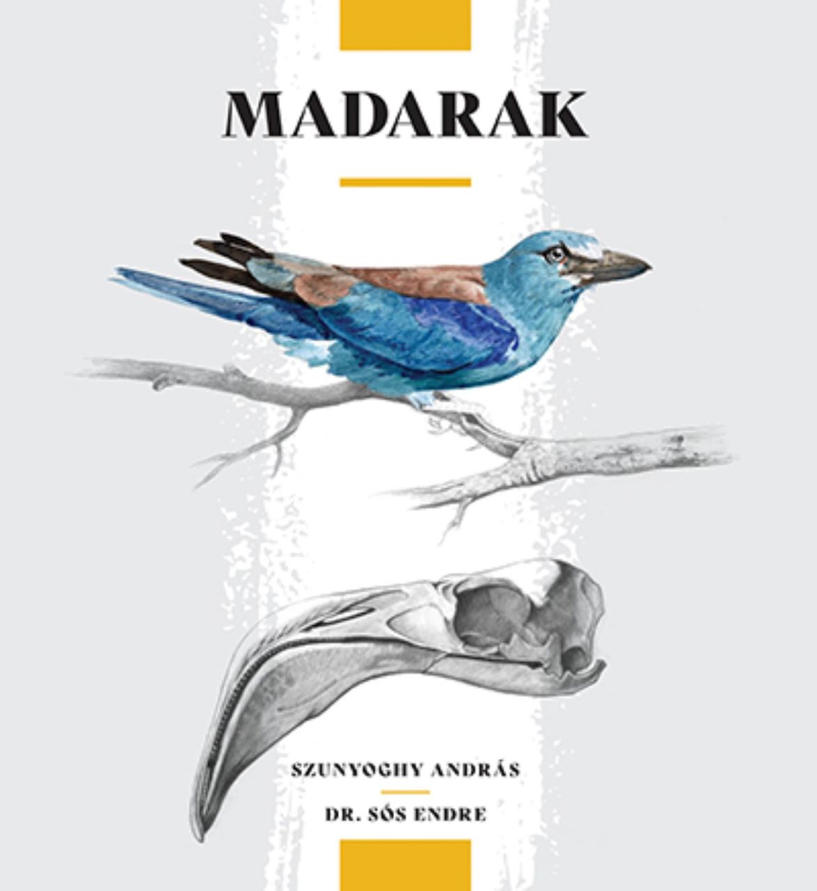 Madarak Madarak